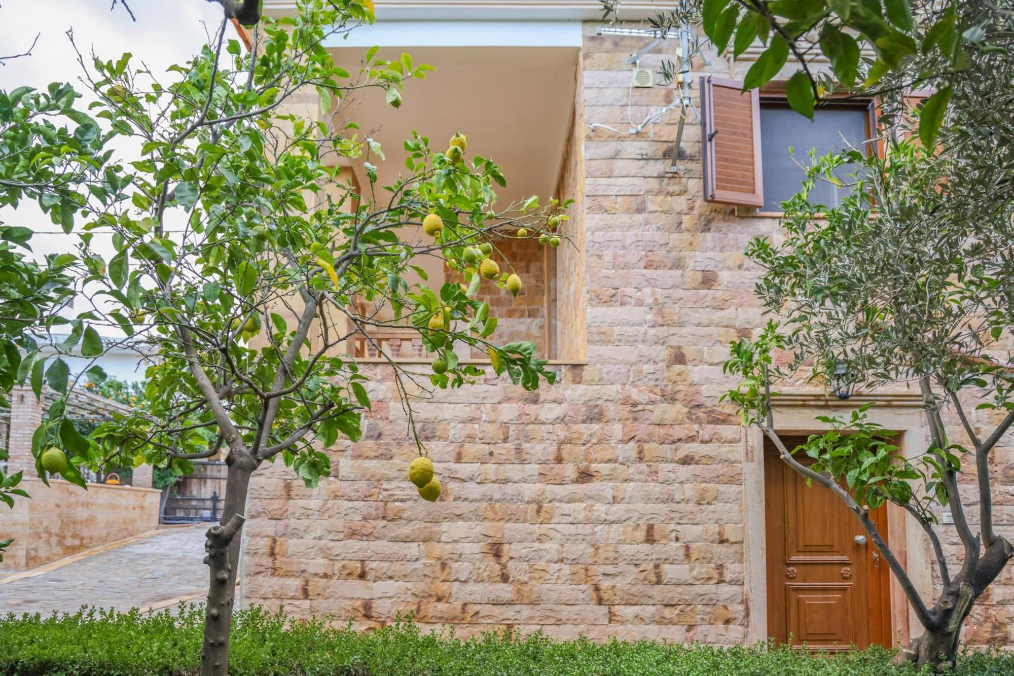 כיוס Archontiko Frideriki Luxury Apartments מראה חיצוני תמונה
